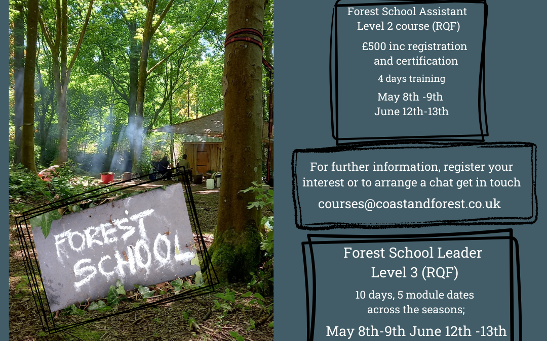 Forest School training dates for 2026 released